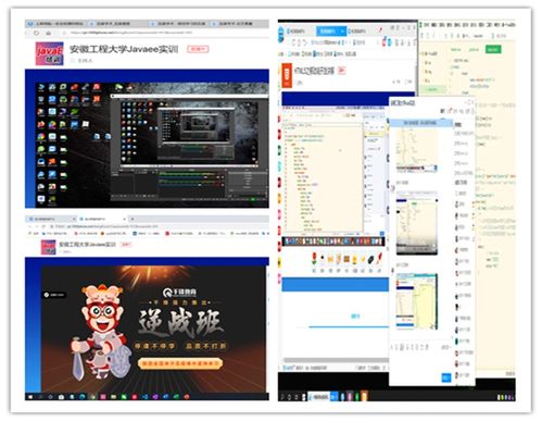 计算机与信息学院2017级本科生圆满完成软件开发方向生产实习