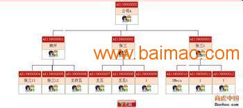 广州双轨直销结算系统软件开发 功能、生产厂家与价格解析